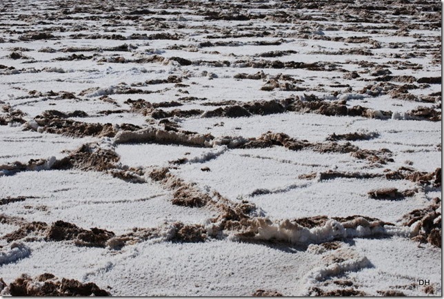 11-02-13 B DV Badwater Area (93)