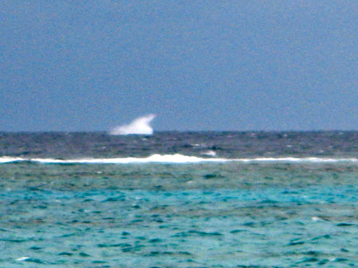c81115a2-2012-09-7-00-04-2012-09-7-00-04.jpg