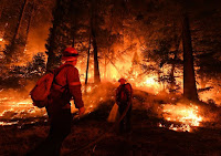 Firefighters try to control a back burn as the Carr fire continues to spread towards the towns of Douglas City and Lewiston near Redding, California on July 31, 2018.  (Credit: Mark Ralston | AFP | Getty Images) Click to Enlarge.