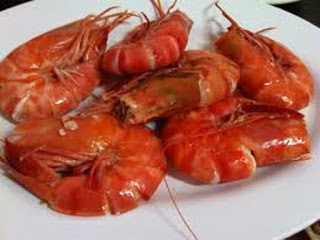 Udang