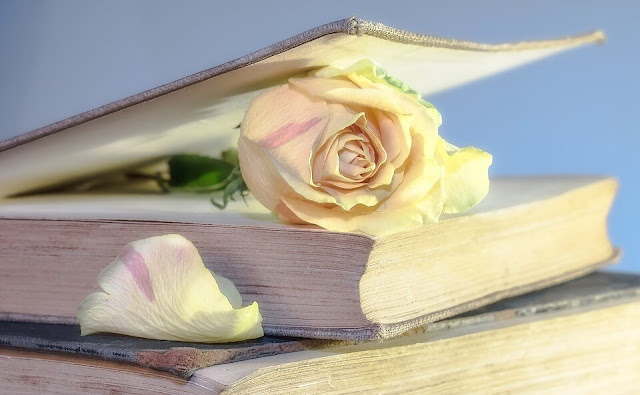 rose in book