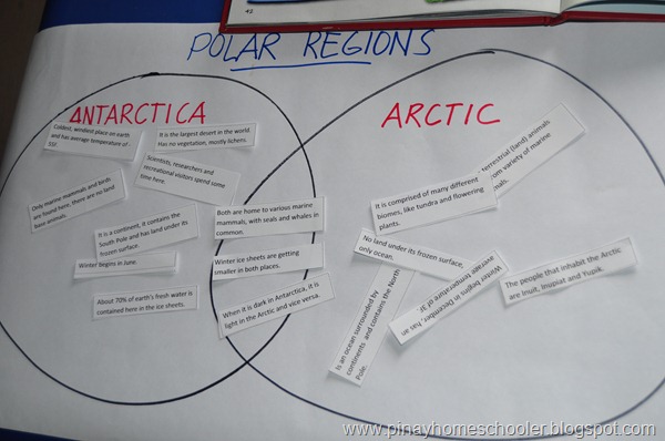 Study of the Polar Regions Sorting Activity