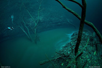 sungai dalam laut