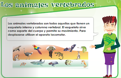 http://repositorio.educa.jccm.es/portal/odes/conocimiento_del_medio/5pc_clasificacionvertebrados/index.html