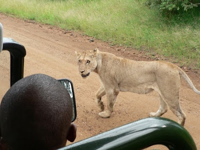 kruger south africa