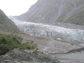 Fox Glacier, New Zealand 2009
