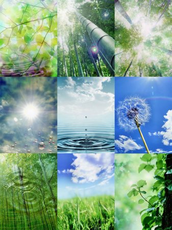 Windows Mobile Nature Wallpaper Pack (240×320)