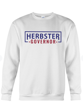 Herbster For Governor