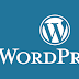 Find the Perfect WordPress Website Designer