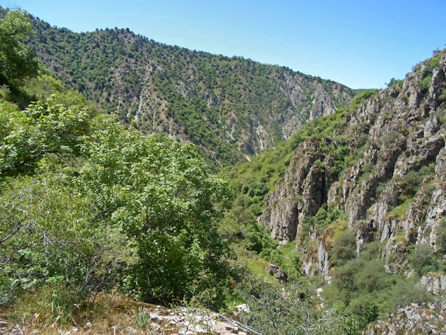 Пик Варзоб, поход из ущелья 21 километр в ущелье Оджук, горы Таджикистана
