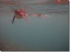 IMG_0725-001