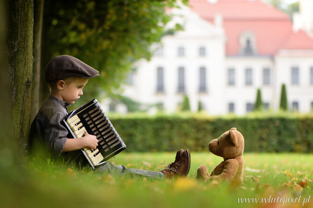 Chłopiec gra akordeonem misiem w parku fotografia stylizowana