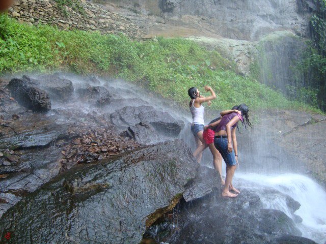 Miss Walking Girl Sri LankaSexy Girls Pictures