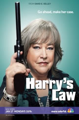 Harrys Law 2x10 Sub Español Online