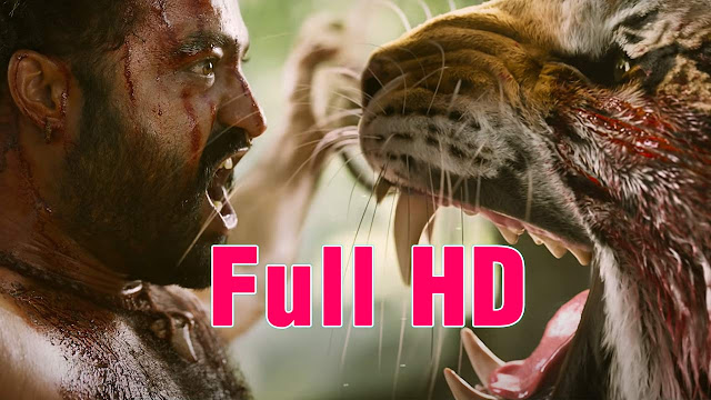 RRR Full movie download in Hindi-Tamil-Telugu dubbed 480p & 720p 1080 leaked by Tamilrockers,movierulz, telegram, filmymeet, 123mkv & mp4moviez