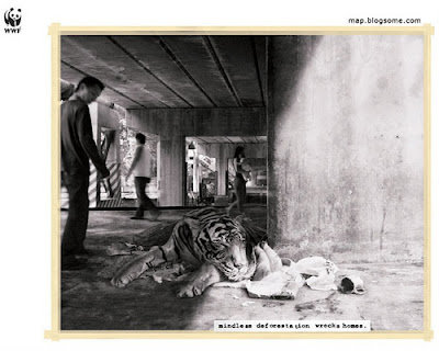 Inspiring and Creative Ads from the WWF Seen On www.coolpicturegallery.net