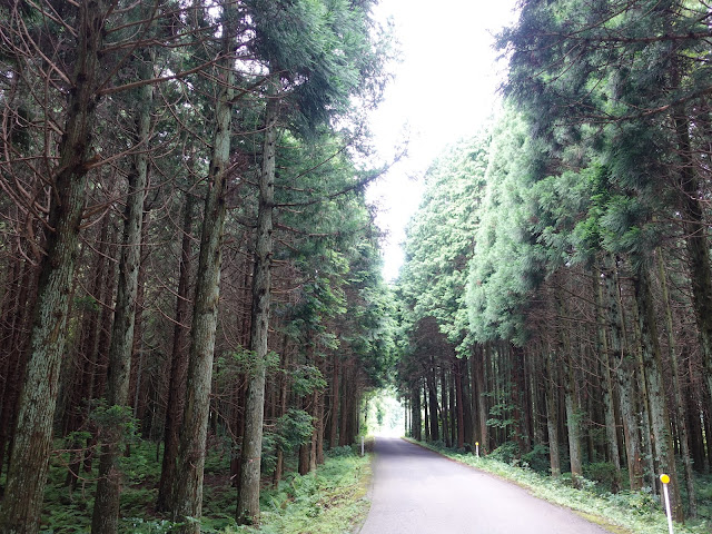 鳥取県道314号赤松大山線　鳥取県西伯郡大山町明間