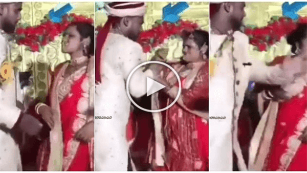 best funny marriage video 2023