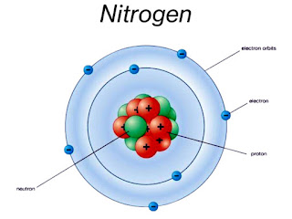 Nitrogen | nitrogen