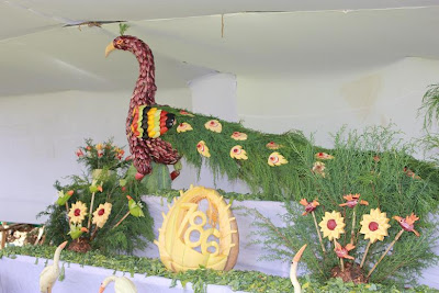 Ooty Vegetable Show Peacock Photos