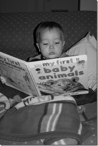 lukareads