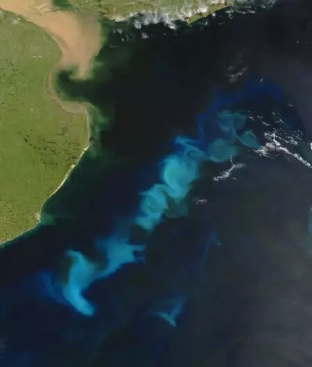 Um florescimento de fitoplâncton oceânico no verão perto do estuário do Rio de la Plata, na América do Sul, 2006