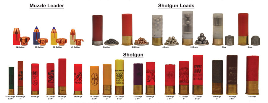 shotgun ammo