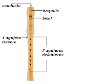 Primero debemos conocer las partes de una flauta dulce tradicional: