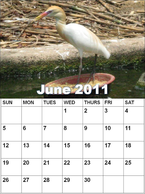 june 2011 calendar blank. lank june 2011 calendar.