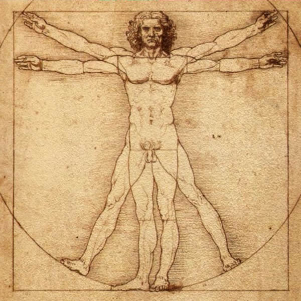 Italian Renaissance - Leonardo da Vinci | Anatomy