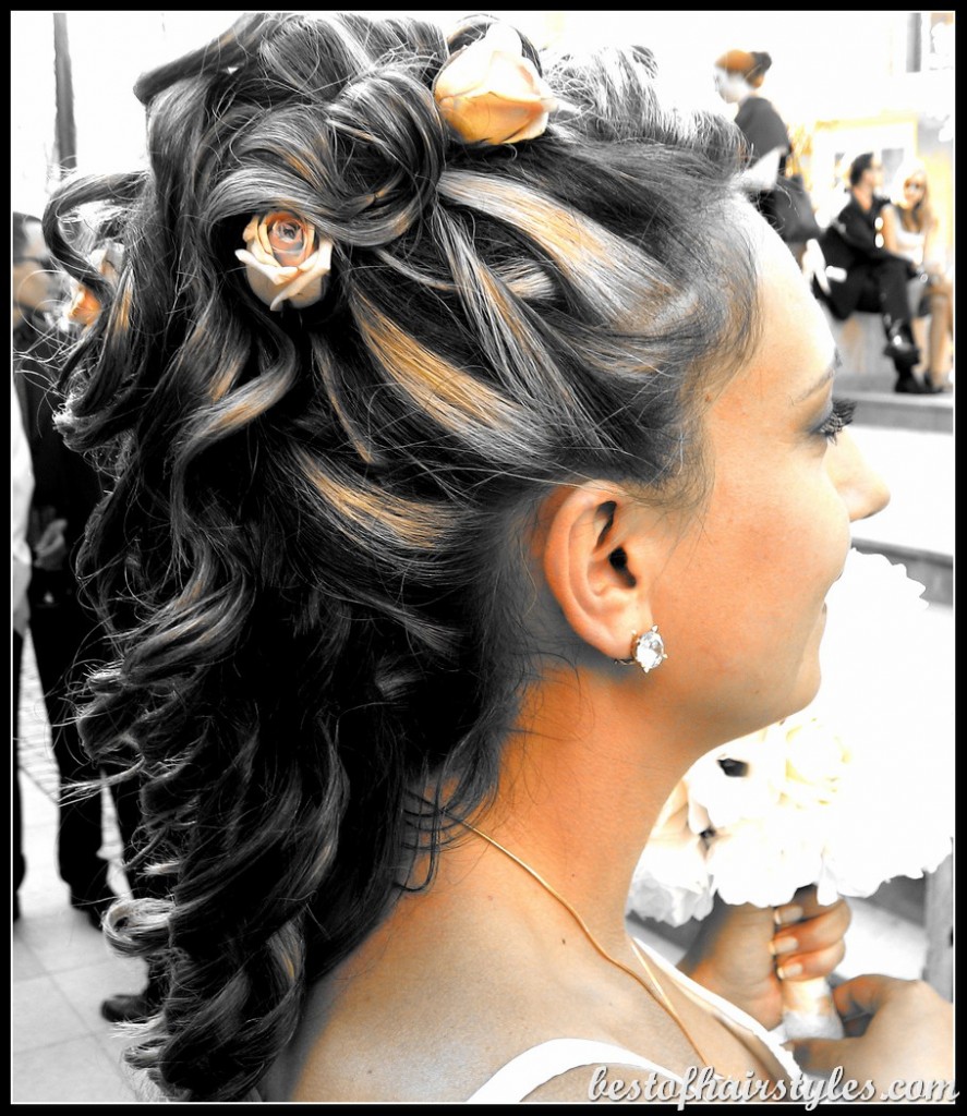 Etiketler: Black , Black Updo Hairstyles , Updo Hairstyles