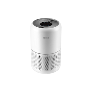 Air Purifier for Home Allergies Pets Hair in Bedroom
