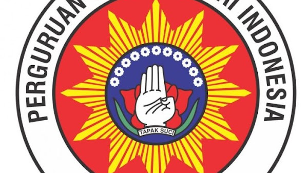 Sejarah Perguruan Seni Bela Diri Indonesia Tapak Suci Putera Muhammadiyah