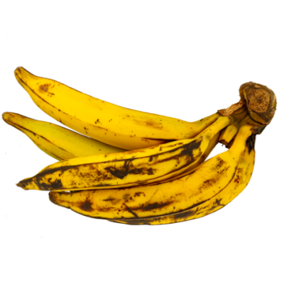 Gambar pisang tanduk