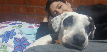 Adopción feliz 2