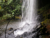 image of water falls near the <span class=