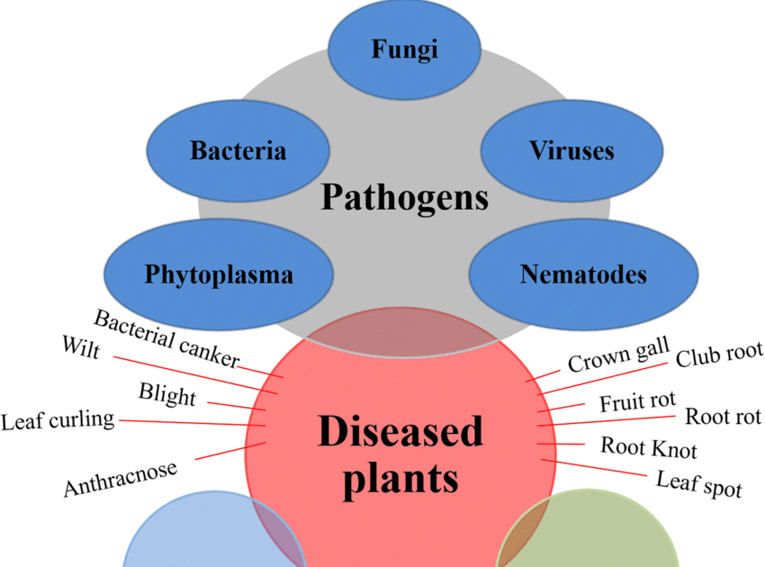 Unveiling the Layers: A Comprehensive Exploration of the Causes of 