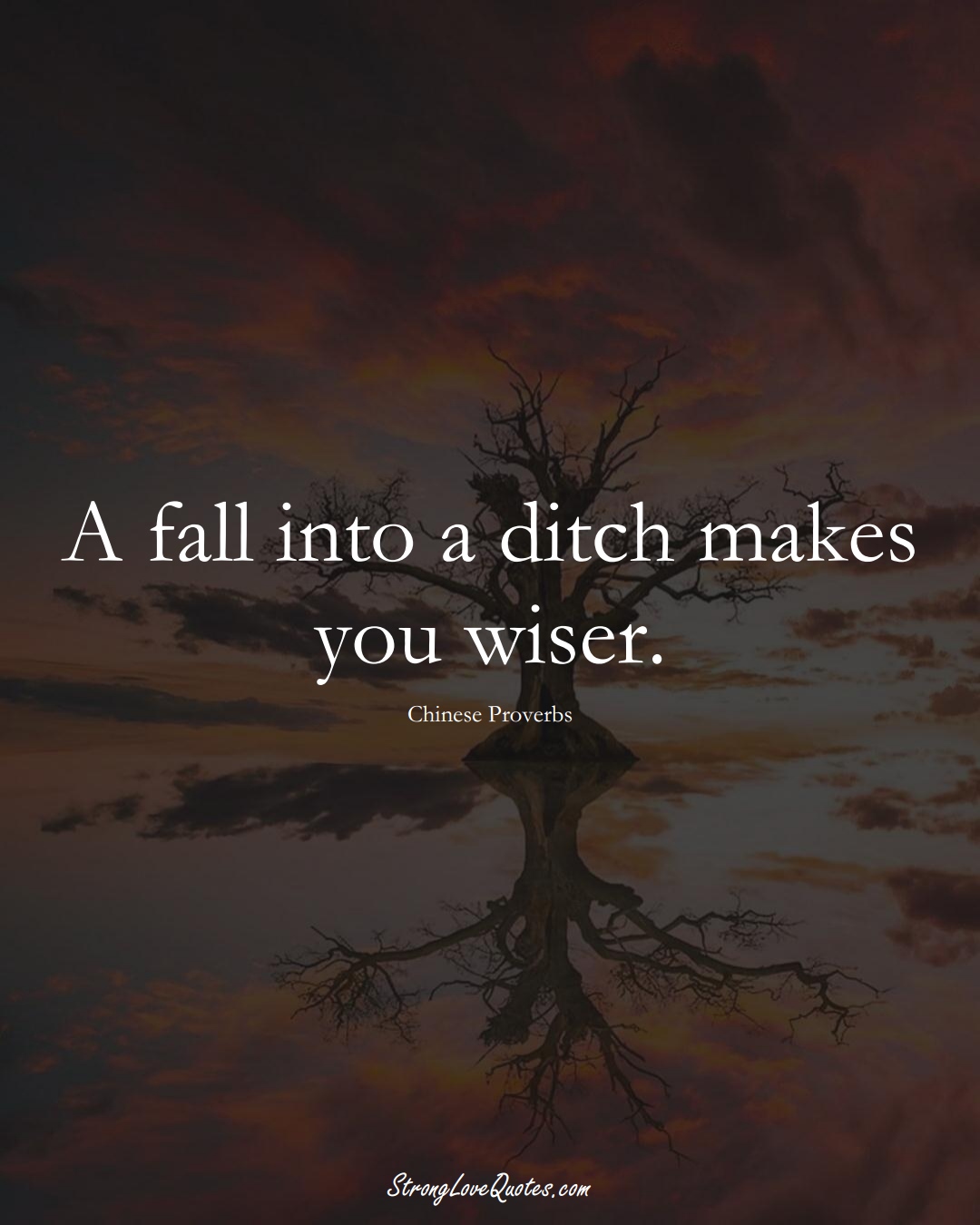 A fall into a ditch makes you wiser. (Chinese Sayings);  #AsianSayings