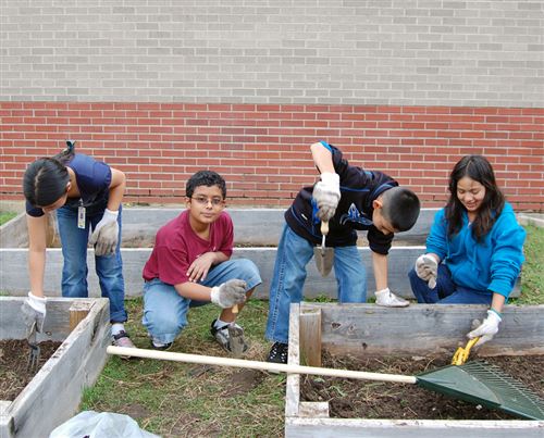 Best Earth Day Projects For Elementary Students