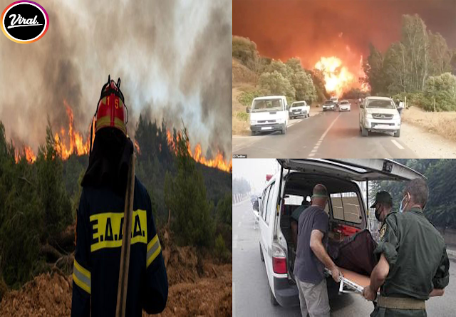 Algeria forest fires: cause dozens of deaths in Kabylie