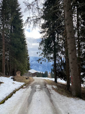 Dolomiti Comelico Superiore passeggiate neve