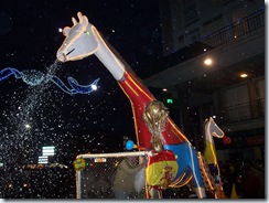 2010.12.12-021 la girafe