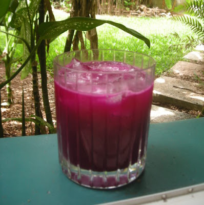 Dragon Fruit juice