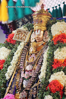 Thanga Pallakku, Thiruavathara Utsavam,1000th Birthday ,Udaiyavar ,Udayavar,Sashrabdhi Utsavam, Ramanujar,Emperumanar, Thiruvallikeni, Sri PArthasarathy Perumal, Temple, 2017, Video, Divya Prabhandam,Utsavam,