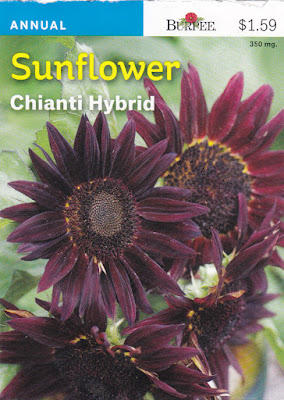 Chianti Hybrid Sunflower Seeds from Burpee