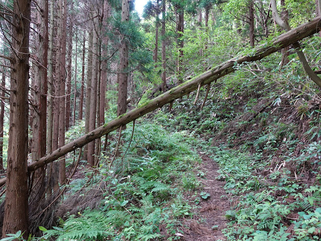 鳥取県西伯郡南部町東上の鎌倉山に登ります