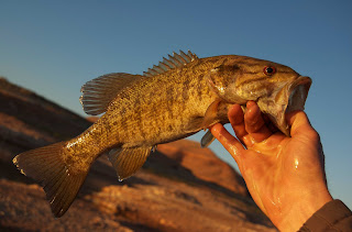 The Slippery Rock Kid: SMALLMOUTH BASS FISHING ON THE TIONESTA CREEK