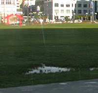 Poor drainage and tiny waharoa at Waitangi Park