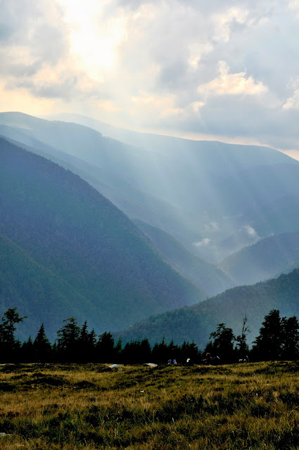 Transalpina