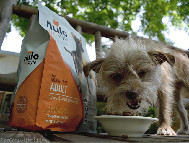 Mini Review: Nulo Freestyle Grain-Free Dog Food